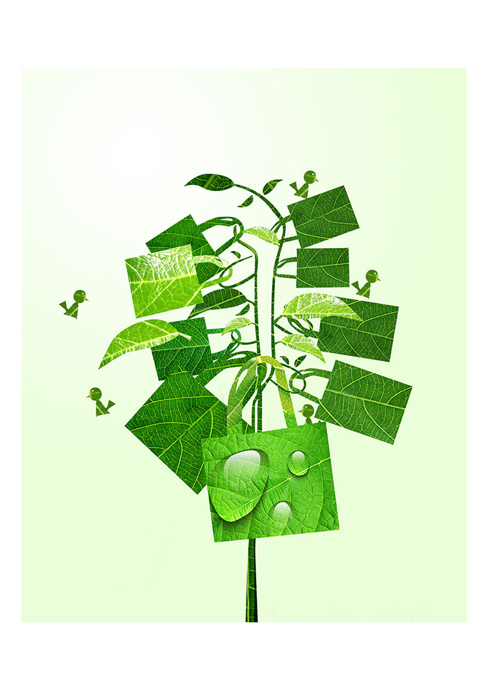 一花一世界，一個(gè)環(huán)保袋一抹綠