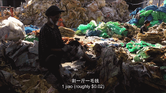 分揀垃圾，拿命換錢